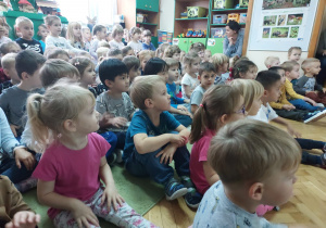 Zdjęcie 5 na 25