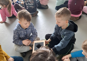 Zdjęcie 14 na 104