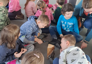 Zdjęcie 40 na 104