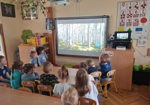 Zdjęcie 3 na 7