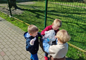 Zdjęcie 5 na 10