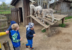 Zdjęcie 12 na 19