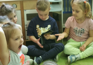 Zdjęcie 4 na 14