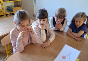 Zdjęcie 17 na 20