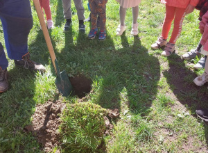 Zadanie nr 7 "Dbam o Ziemię" w ramach projektu edukacyjnego KREATYWNY PRZEDSZKOLAK - KREATYWNE DZIECKO.