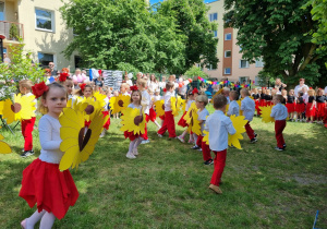 Zdjęcie 4 na 8