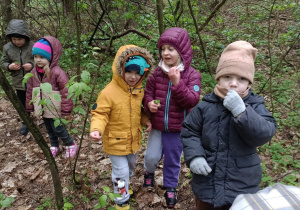 dzieci chodzą po lesie
