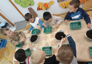 dzieci sieją nasiona do ziemi w pojemniczkach